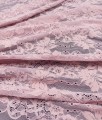 ID5010715 pink-1772460109238.jpg