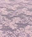 ID5010715 pink--2.jpg