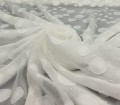 WTWF1516-WHITE POP--6.jpg