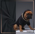 dresówka grafitowy pop-3629.jpg