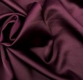 sezarast mur pop-122623.jpg