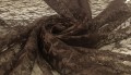 xm76376604 braz-2-6.jpg