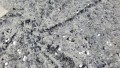 JJA52187 GREY-113006.jpg