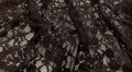 XM7638 brown-1791972448137.jpg