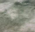 20241213_142308.jpg