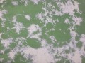 20250205_101716.jpg