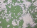 20250205_101714.jpg