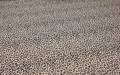 20250401_134616.jpg