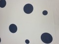20250722_090216.jpg