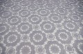 ACC-S450-SILVER-2.jpg