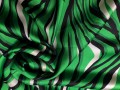 20251106_123829.jpg-zebra-kol2.jpg