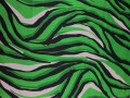 20251106_123804.jpg-zebra-kol2-fot1.jpg