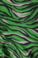 20251106_123808.jpg-zebra-kol2-fot4 (1).jpg