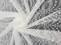 20260128_122858.jpg
