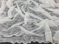 20260128_123003.jpg